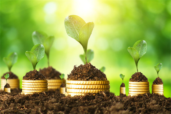 预算管理咨询公司如何帮助企业破解资金错配问题？