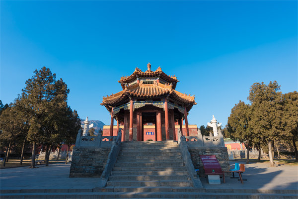 借郑州薪酬咨询公司定制方案落地，企业吸引顶尖人才的优势怎会弱？