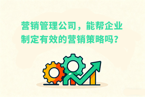 营销管理公司，能帮企业制定有效的营销策略吗？