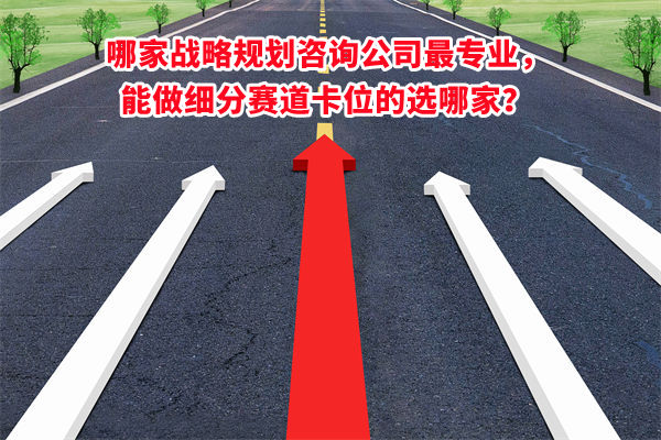 哪家战略规划咨询公司最专业,能做细分赛道卡位的选哪家? 哪家战略规划咨询公司最专业,能做细分赛道卡位的选哪家?