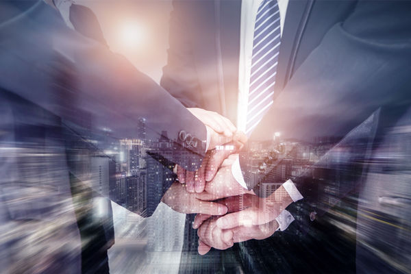 优质的企业文化建设咨询选哪家，能凝聚核心团队向心力吗？