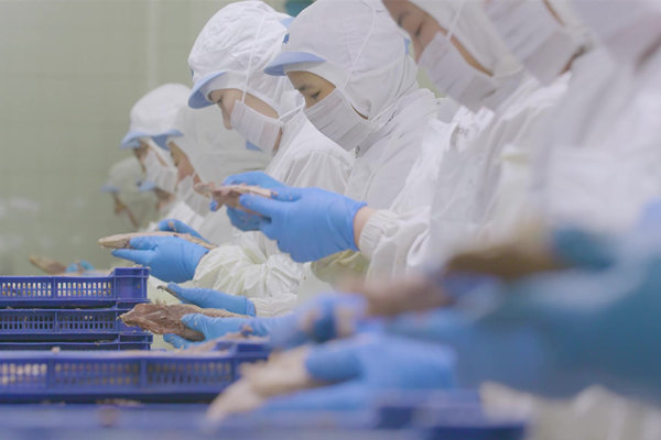 制造业薪酬绩效咨询公司哪家好，产线效率提升如何挂钩？