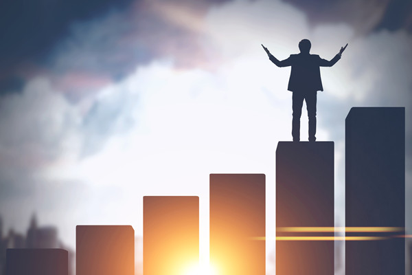 大型的战略咨询公司哪个好，能为企业制定长期发展规划？